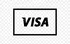 Visa credit card